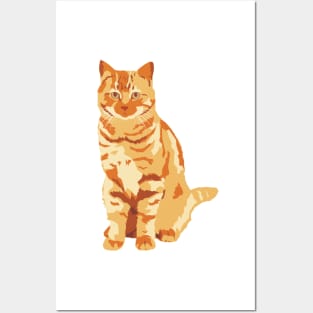 Ginger Cat Posters and Art